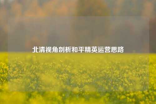 北清视角剖析和平精英运营思路