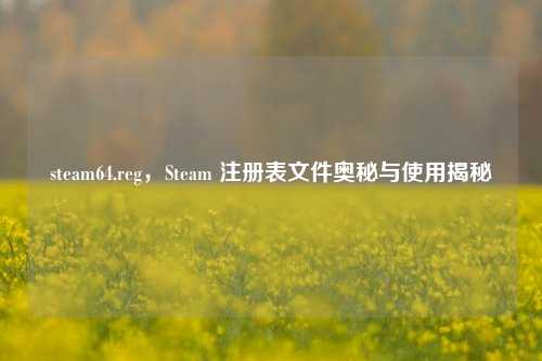 steam64.reg，Steam 注册表文件奥秘与使用揭秘