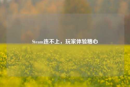 Steam连不上，玩家体验糟心