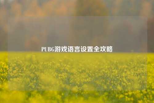 PUBG游戏语言设置全攻略
