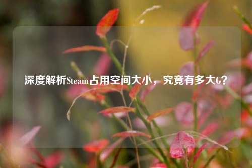 深度解析Steam占用空间大小,究竟有多大G?