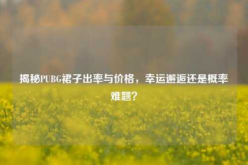揭秘PUBG裙子出率与价格,幸运邂逅还是概率难题?