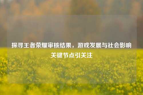 探寻王者荣耀审核结果,游戏发展与社会影响关键节点引关注