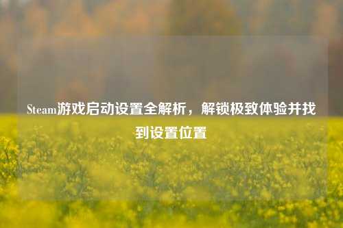 Steam游戏启动设置全解析,解锁极致体验并找到设置位置