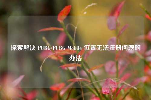 探索解决 PUBG/PUBG Mobile 位置无法注册问题的办法