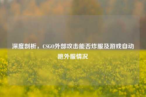 深度剖析,CSGO外部攻击能否炸服及游戏自动跑外服情况
