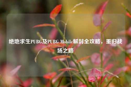 绝地求生PUBG及PUBG Mobile解封全攻略,重归战场之路