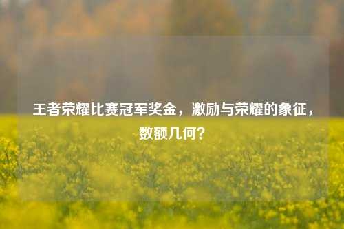 王者荣耀比赛冠军奖金,激励与荣耀的象征,数额几何?
