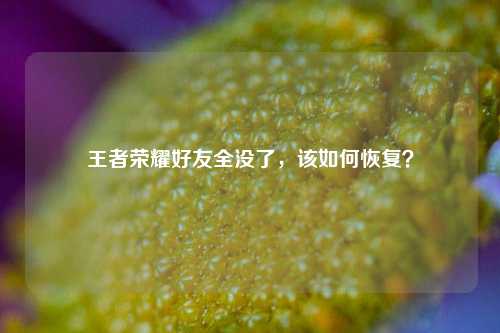 王者荣耀好友全没了,该如何恢复?