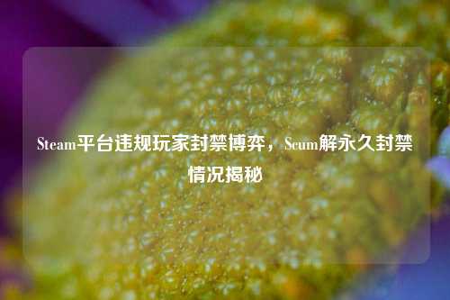 Steam平台违规玩家封禁博弈,Scum解永久封禁情况揭秘