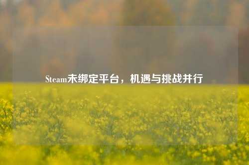 Steam未绑定平台,机遇与挑战并行