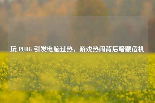 玩 PUBG 引发电脑过热,游戏热闹背后暗藏危机