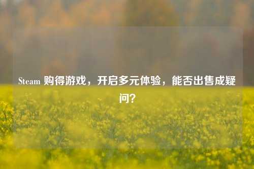Steam 购得游戏,开启多元体验,能否出售成疑问?