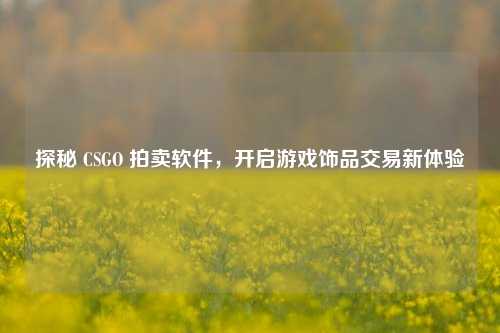 探秘 CSGO 拍卖软件,开启游戏饰品交易新体验