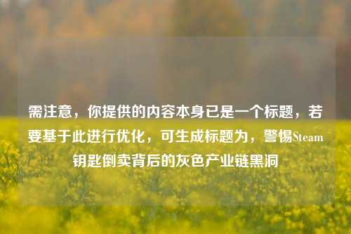 需注意,你提供的内容本身已是一个标题,若要基于此进行优化,可生成标题为,警惕Steam钥匙倒卖背后的灰色产业链黑洞