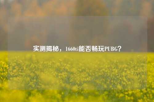 实测揭秘,1660ti能否畅玩PUBG?
