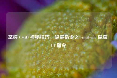 掌握 CSGO 神秘技巧,隐藏指令之 csgodemo 隐藏 UI 指令