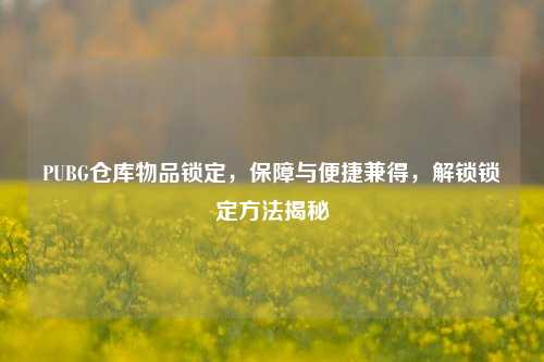 PUBG仓库物品锁定,保障与便捷兼得,解锁锁定 揭秘