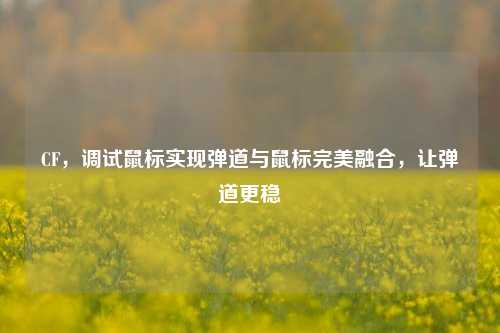 CF,调试鼠标实现弹道与鼠标完美融合,让弹道更稳