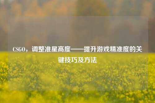 CSGO,调整准星高度——提升游戏精准度的关键技巧及