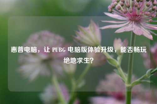 惠普电脑,让 PUBG 电脑版体验升级,能否畅玩绝地求生?
