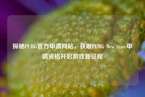 探秘PUBG官方申请网站,获取PUBG New State申请资格开启游戏新征程