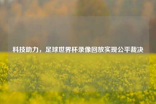 科技助力,足球世界杯录像回放实现公平裁决