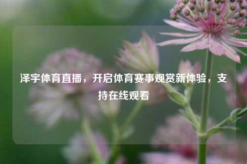 泽宇体育直播,开启体育赛事观赏新体验,支持在线观看