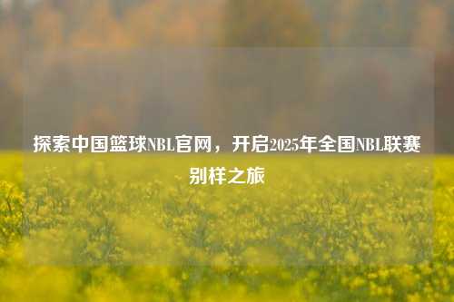 探索中国篮球NBL官网,开启2025年全国NBL联赛别样之旅