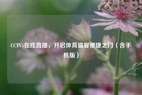 CCTV5在线直播,开启体育盛宴便捷之门(含手机版)