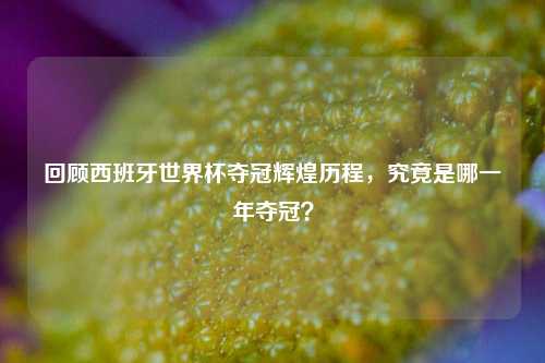 回顾西班牙世界杯夺冠辉煌历程,究竟是哪一年夺冠?