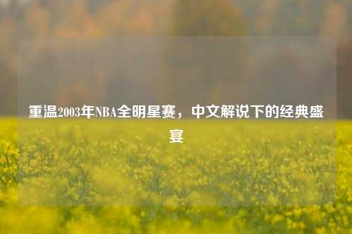 重温2003年NBA全明星赛,中文解说下的经典盛宴