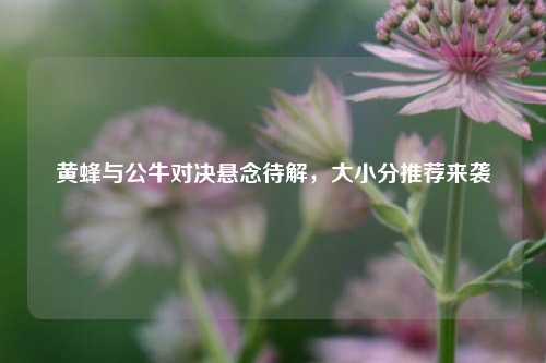 黄蜂与公牛对决悬念待解,大小分推荐来袭