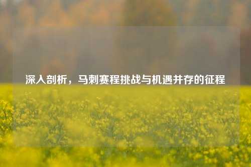 深入剖析,马刺赛程挑战与机遇并存的征程