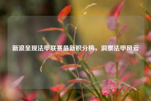 新浪呈现法甲联赛最新积分榜,洞察法甲风云