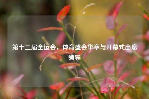 第十三届全运会,体育盛会华章与开幕式出席领导