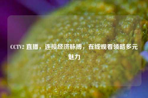 CCTV2 直播,连接经济脉搏,在线观看领略多元魅力