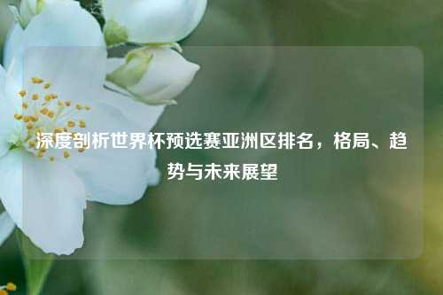 深度剖析世界杯预选赛亚洲区排名,格局、趋势与未来展望
