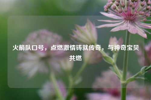 火箭队口号,点燃***铸就传奇,与神奇宝贝共燃