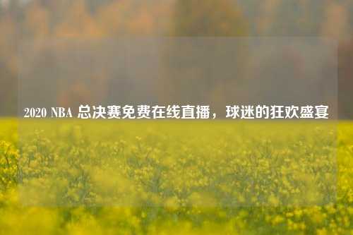 2020 NBA 总决赛免费在线直播,球迷的狂欢盛宴