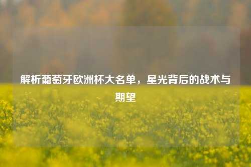 解析葡萄牙欧洲杯大名单,星光背后的战术与期望