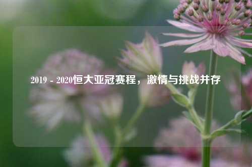 2019 - 2020恒大亚冠赛程,***与挑战并存