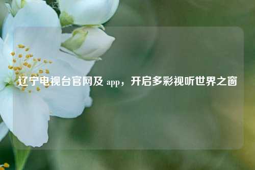 辽宁电视台官网及 app,开启多彩视听世界之窗