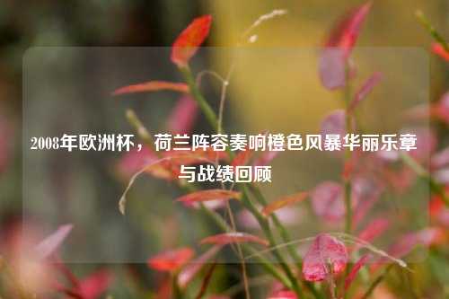 2008年欧洲杯,荷兰阵容奏响橙色风暴华丽乐章与战绩回顾