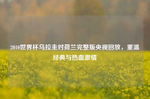 2010世界杯乌拉圭对荷兰完整版央视回放,重温经典与热血***