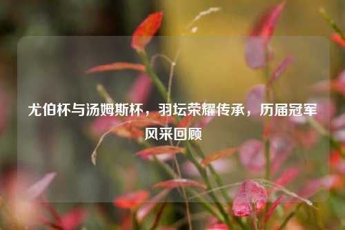 尤伯杯与汤姆斯杯,羽坛荣耀传承,历届冠军风采回顾