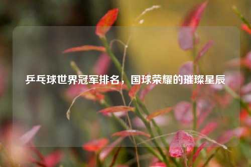 乒乓球世界冠军排名,国球荣耀的璀璨星辰