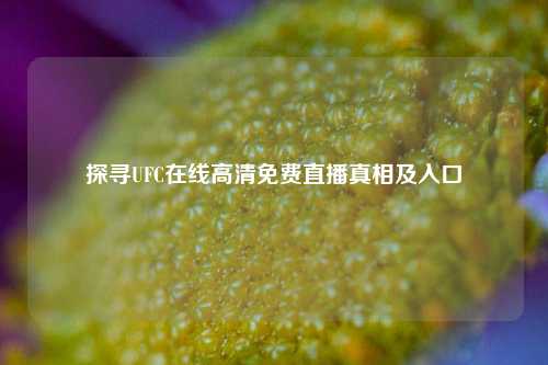 探寻UFC在线高清免费直播真相及入口