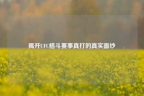 揭开UFC格斗赛事真打的真实面纱