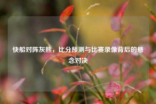 快船对阵灰熊,比分预测与比赛录像背后的悬念对决